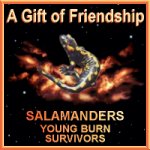 Salamanders Friendship